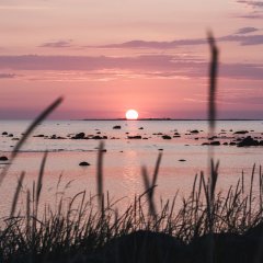 Mare accommodation in Uiõ-Matu farm