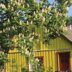 Kuraga Kodumajutus Kihnus