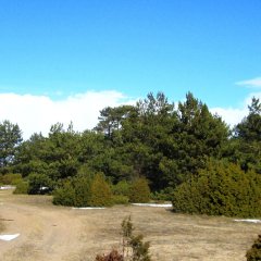 Suarõ ninä - rand ja vana lautrikoht