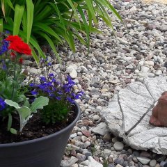 Pärnamäe talu kodumajutus Kihnus