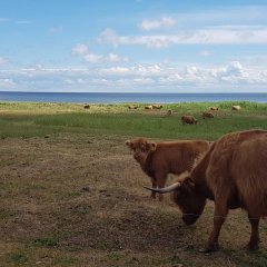 Risti Farm accommodation in Kihnu