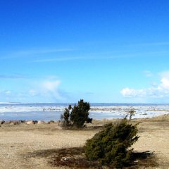 Suarõ ninä - rand ja vana lautrikoht