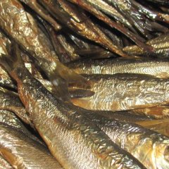 Kohalik amps - värskelt suitsutatud kala tõeliselt Kihnu kalurilt