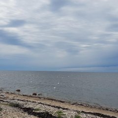 Risti Farm accommodation in Kihnu